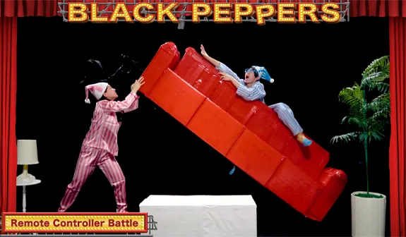 Remote Controller Battle / リモコン　史上最もおかしな夫婦喧嘩！